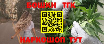 шишки Будённовск