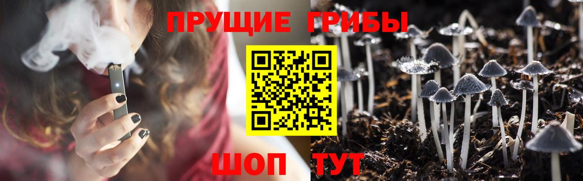 Армавир  Псилоцибиновые грибы Psilocybe  Псилоцибиновые грибы Psilocybe  Вход с VPN 